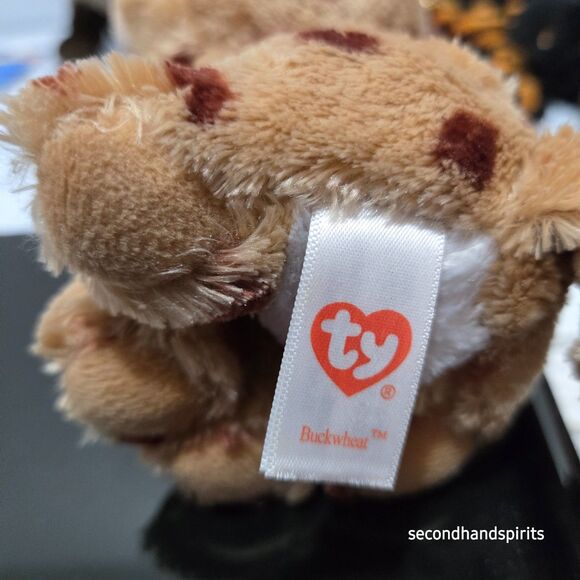 Halloween Ty Beanie Boos Spiders, Howl, Grim, Buckwheat, Hyde - Picture 5 of 8